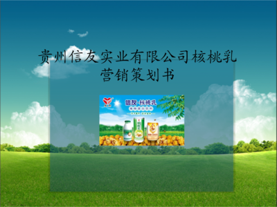 核桃乳市場(chǎng)營(yíng)銷策劃方案